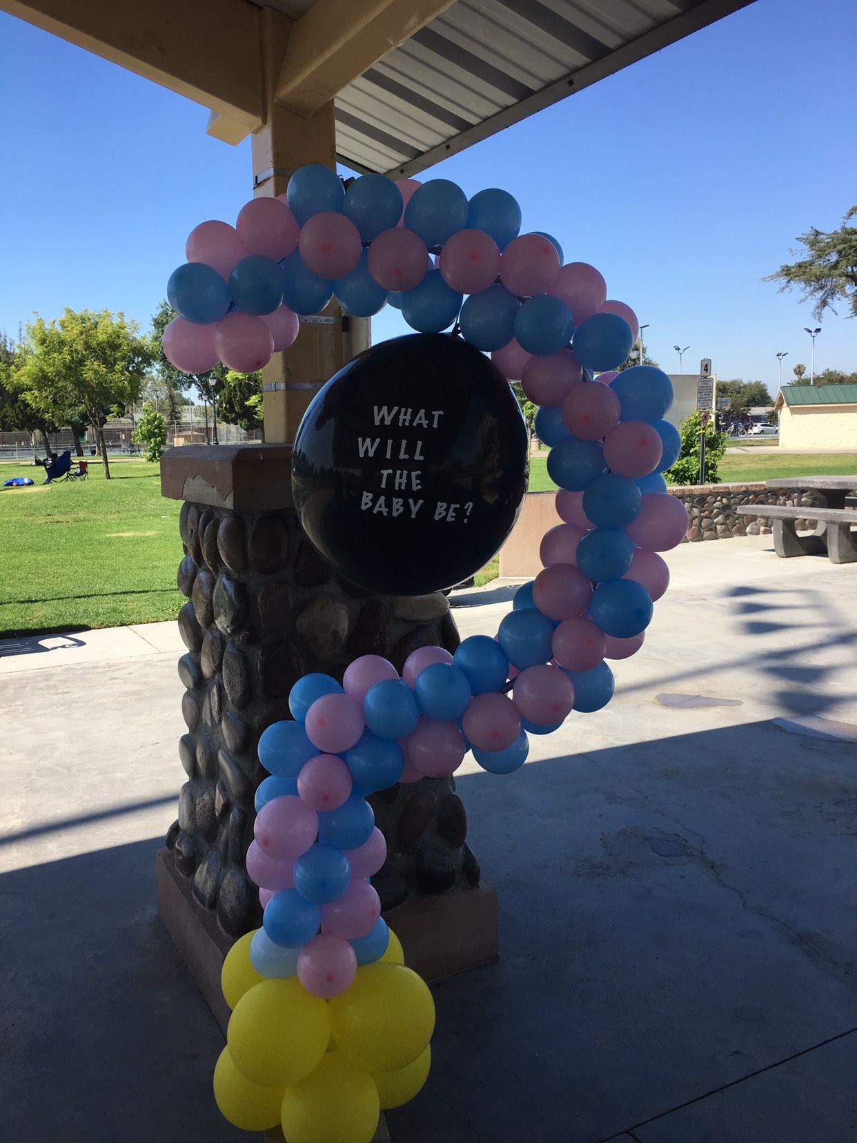 Gender Reveal Balloon Decoration 