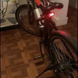 Electric Bike