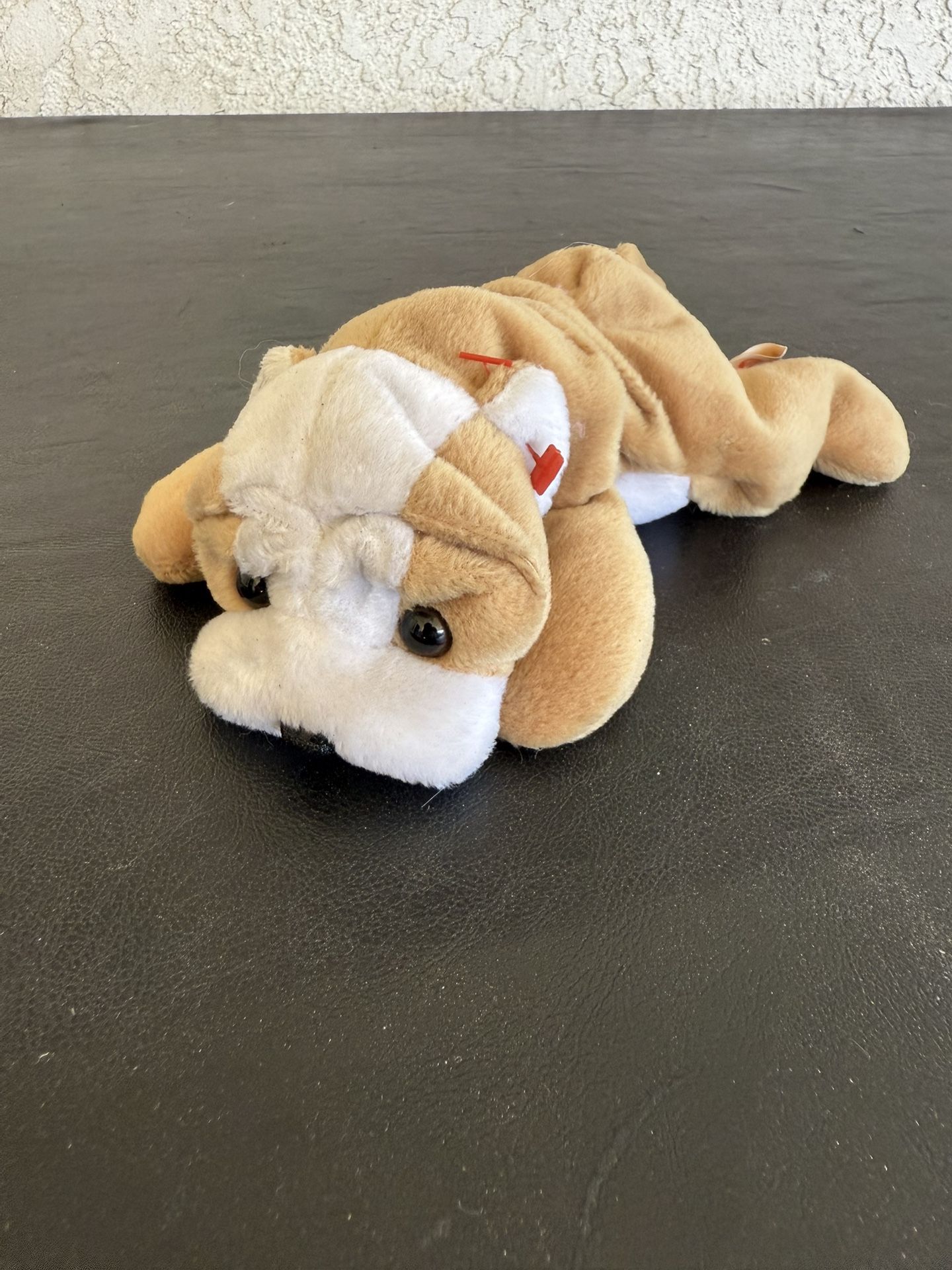 TY Beanie Baby Bulldog Named Wrinkles Missing Tag