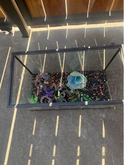 Fish tanks