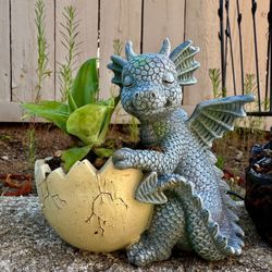 🥚 🔥🐉 🥚 🌊 🐉 Dragon Egg Planter 🥚 🪴 W Succulent 