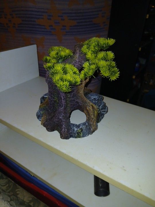 Aquarium Decoration