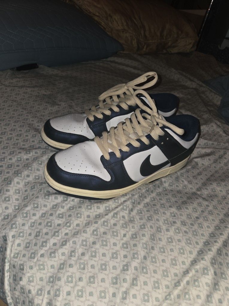 Nike Dunks Blue and Beige