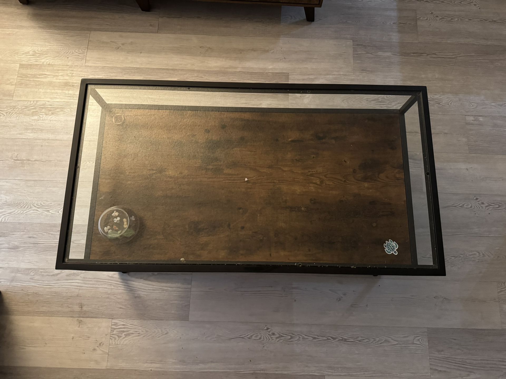 Glass Coffee Table
