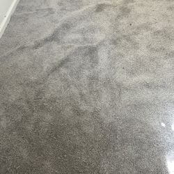 New Light Gray Carpet remnant 