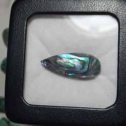 natural abalone gem
