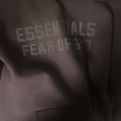 Essentials Hoodie Plum
