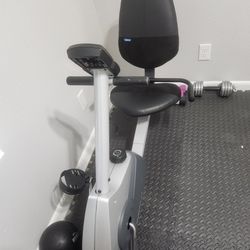Weslo Work Out Bike