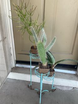 Plant items