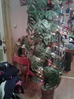 PLANTA. ARTIFICIAL