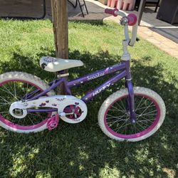 18” Bike $19 