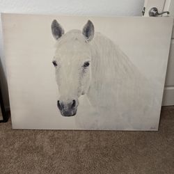 Horse picture