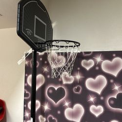 Junior Basketball Hoop 