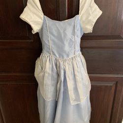 Princess costume size 6 to 8 Used 