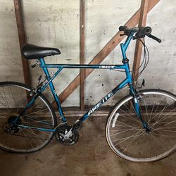 Arette GT Vintage mountain Bike