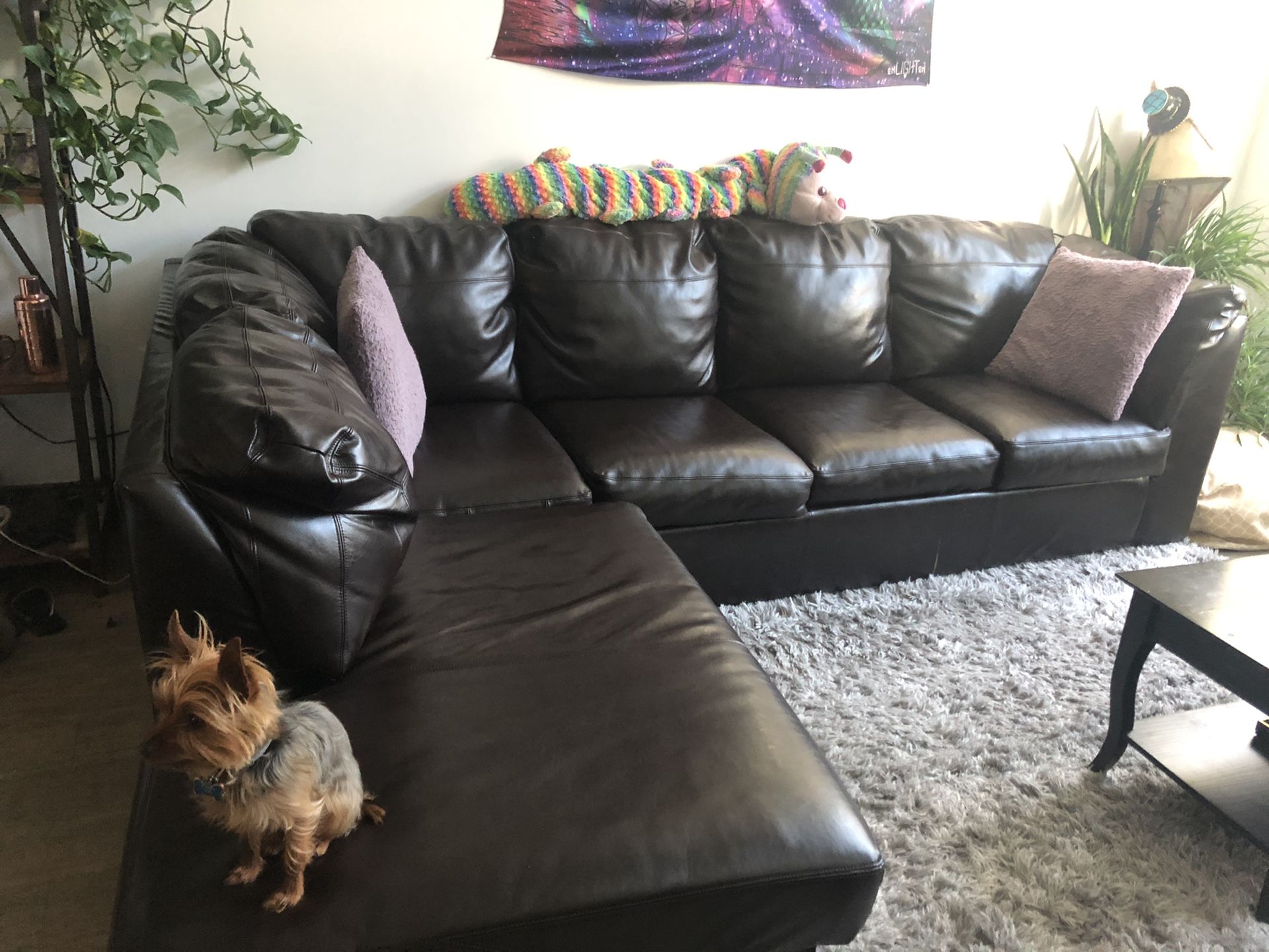 Leather Sectional Pull Out Couch