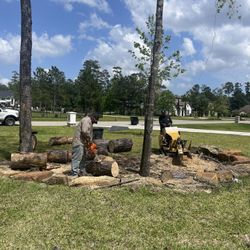 Tree Trimming 