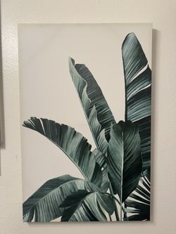 Plant Wall Decor 