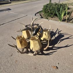 Authentic Chandelier Antler 