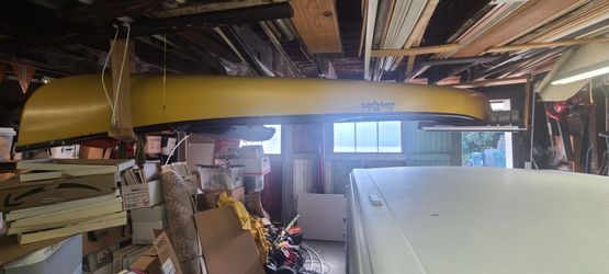 Easy Rider canoe
