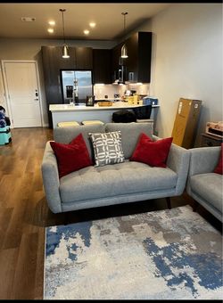 One Set of two- Gray Mid-Century Modern Loveseat