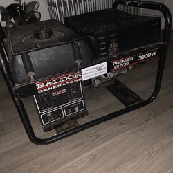Baldor Generator 3000w 