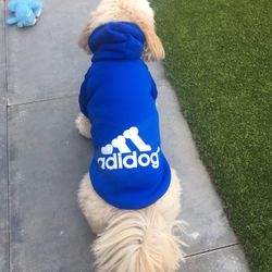 Adidog