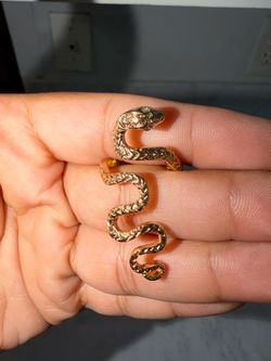 Snake ring