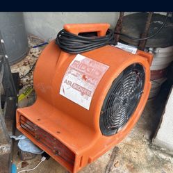 Fan 