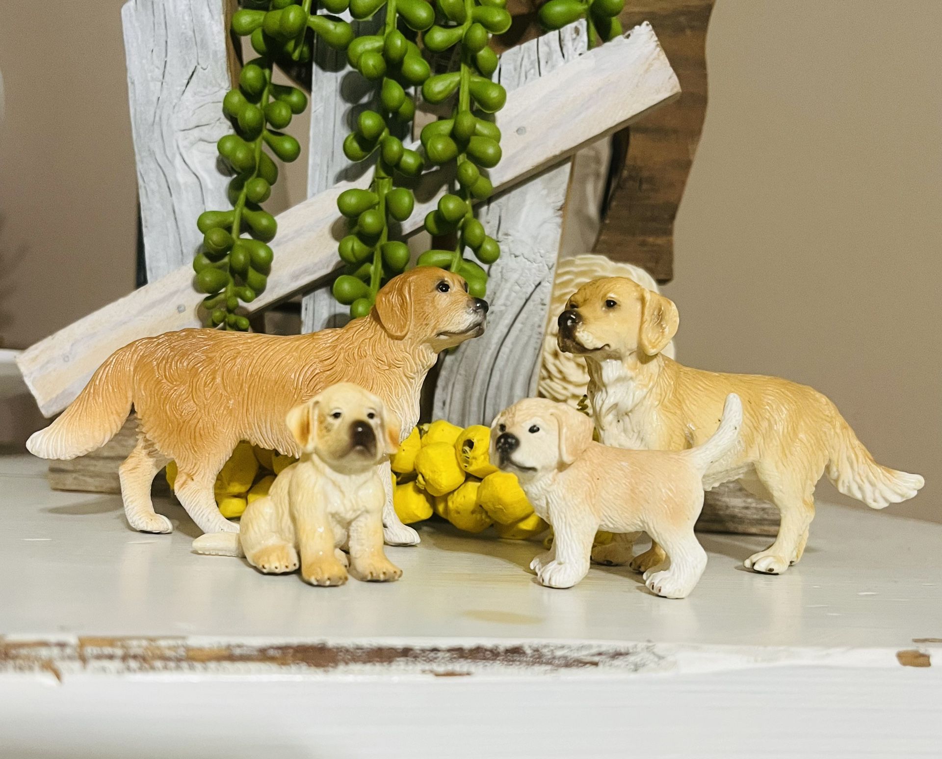 RETIRED Schleich 4pc Lab Family