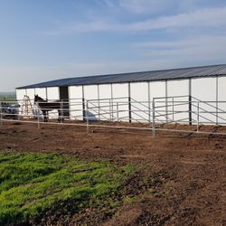 12’ And 16’ Horse Panels