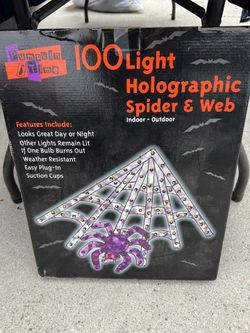 Holographic Spider & Web