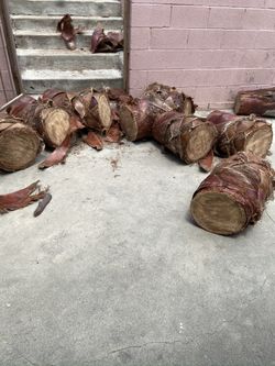 Plant Stands $45 For as Many As You Want Or $6 Each