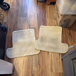 Lexus Floor mats. FREE