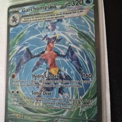 GARCHOP EX