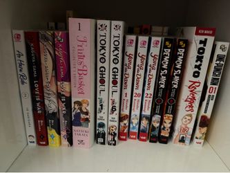 Manga lot