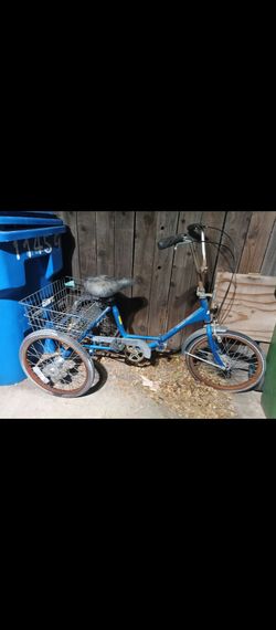 Adult tricycle