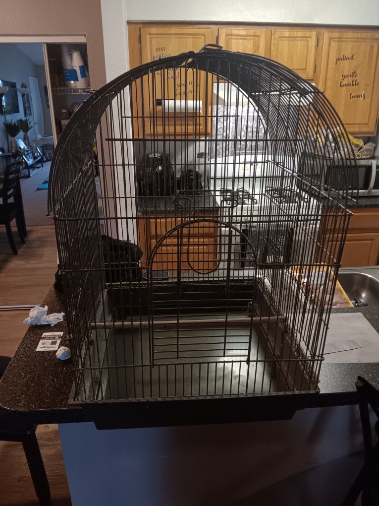 Bird Cage