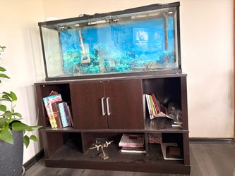 60 gallon fish tank