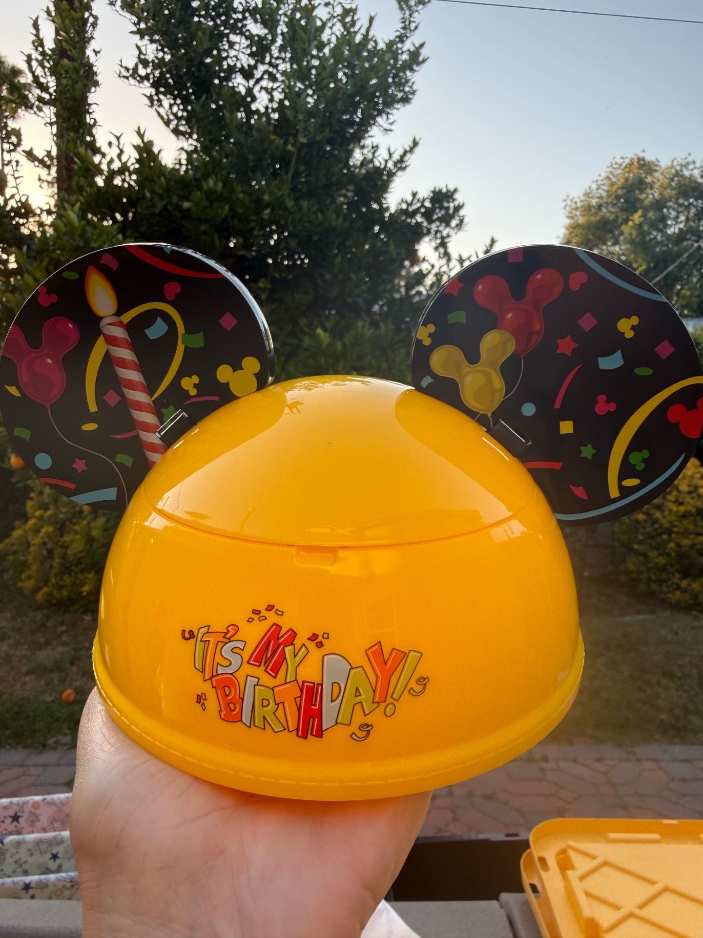 NEW Disneyland Birthday Resort Bowls