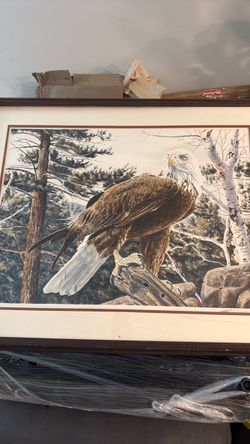 Eagle print