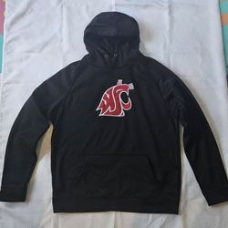 Wildcat Men's Hoodie