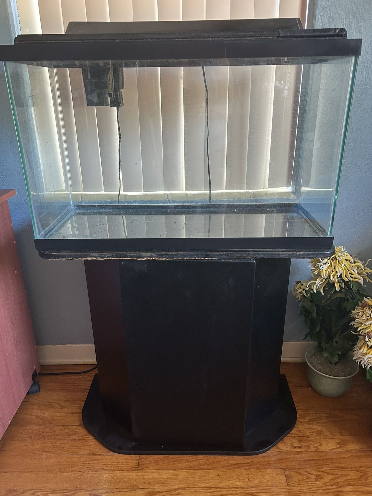 Fish Tank,Hood, Light, Filter, Measurements In Photos, Stand Good Deal
