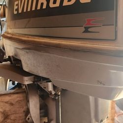 Evenrude 25hp 