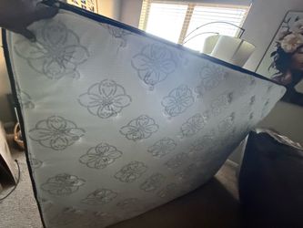Free for pick up in McKinney