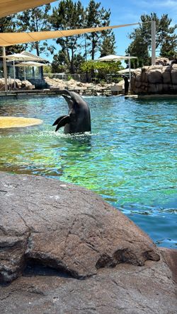 Sea world San Diego