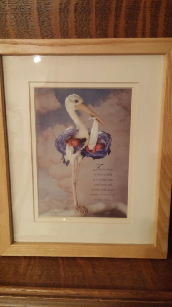 Anne Geddes Framed Baby Print
