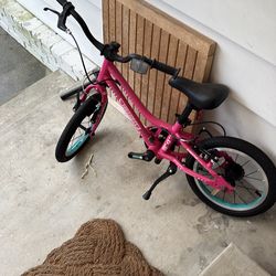 Guardian bike to teach child to ride