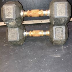 20 Lb Hexagon Dumbbells Pair
