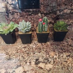 FOUR Artificial Cactus & Succulents In 2 1/2 " pots